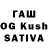 ЭКСТАЗИ бентли Evgeshka Kingman