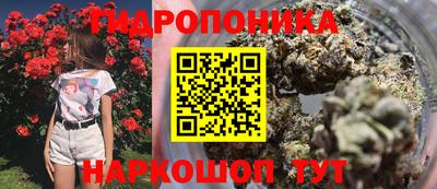 каннабис Сланцы