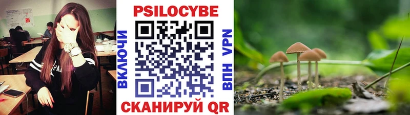 мориарти телеграм  Курган  Псилоцибиновые грибы Magic Shrooms 
