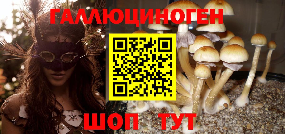 Псилоцибиновые грибы Cubensis Курган
