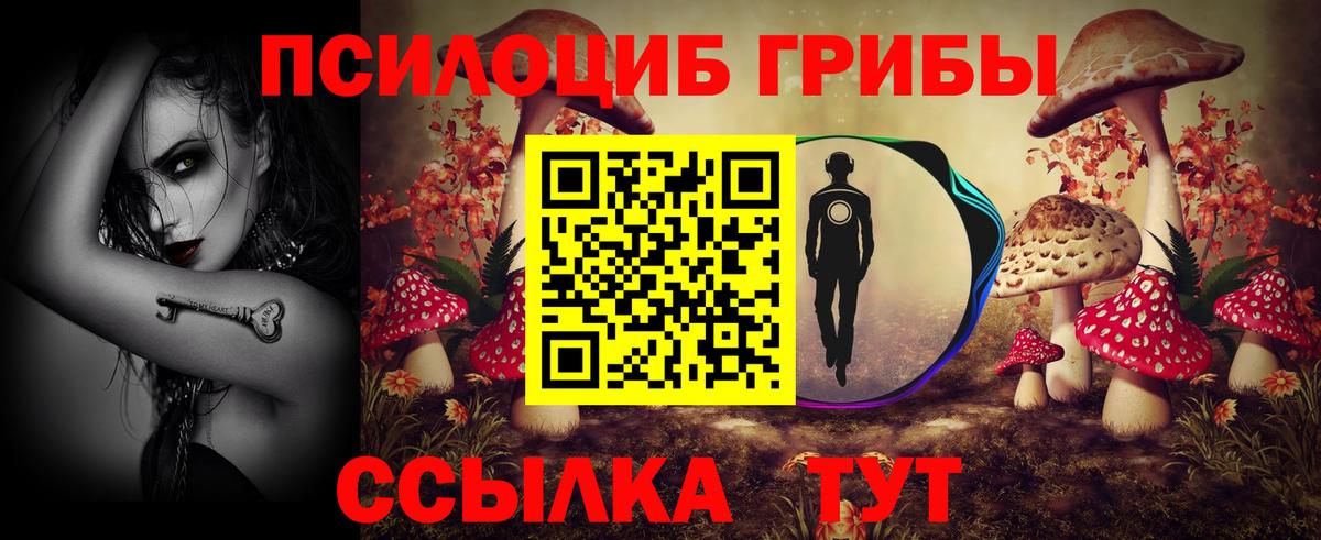 Псилоцибиновые грибы прущие грибы  Вход с VPN  Курган 
