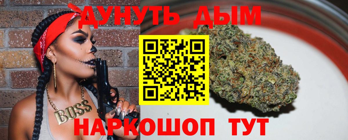 Каннабис сатива Курган