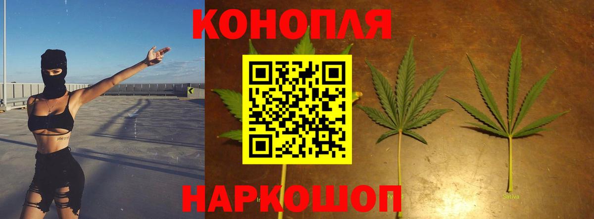 Курган  Каннабис OG Kush  Каннабис сатива  Вход с VPN  Бошки марихуана семена 